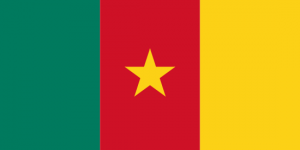 africa country flag